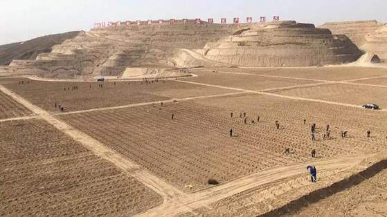 说明: https://cy.ncss.org.cn/picture?path=information/ueditor/13071525414875.jpg&name=3.jpg